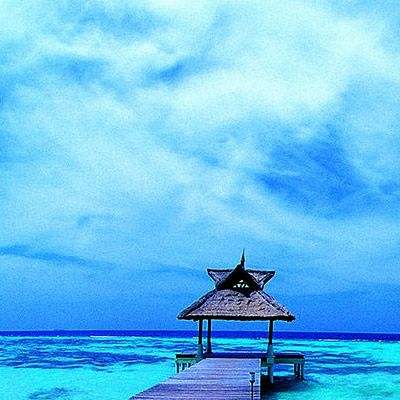 pg电子·模拟器(试玩游戏)手机app下载